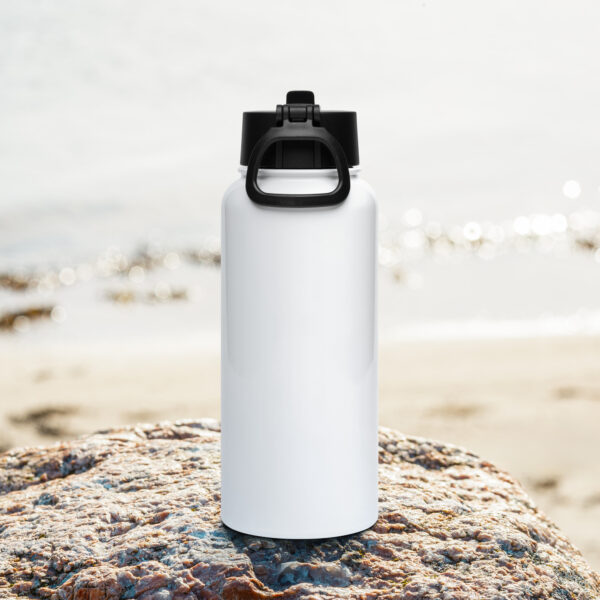 Falls Here Stainless steel water bottle with a straw lid - Image 4